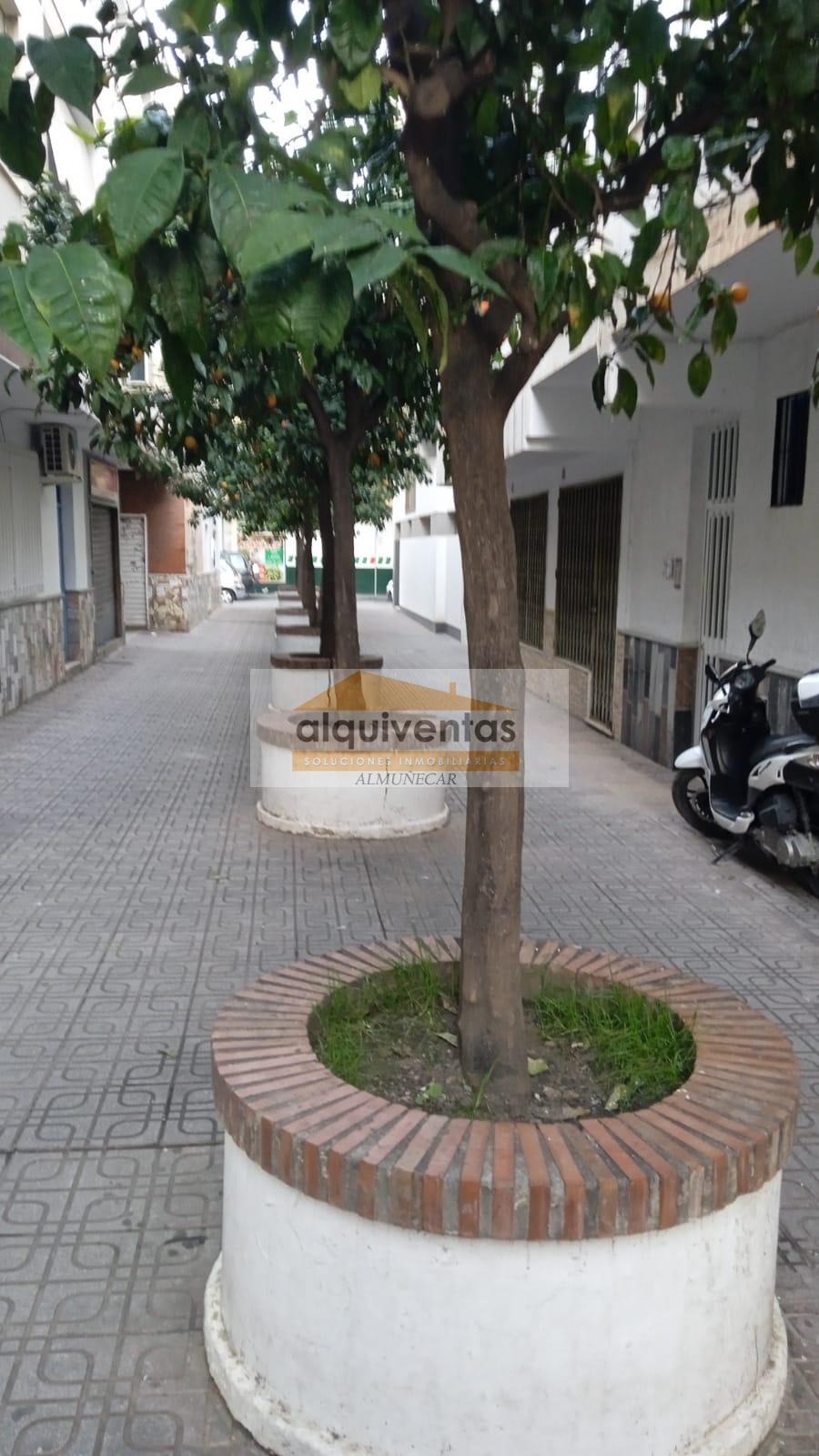 For rent of commercial in Almuñécar