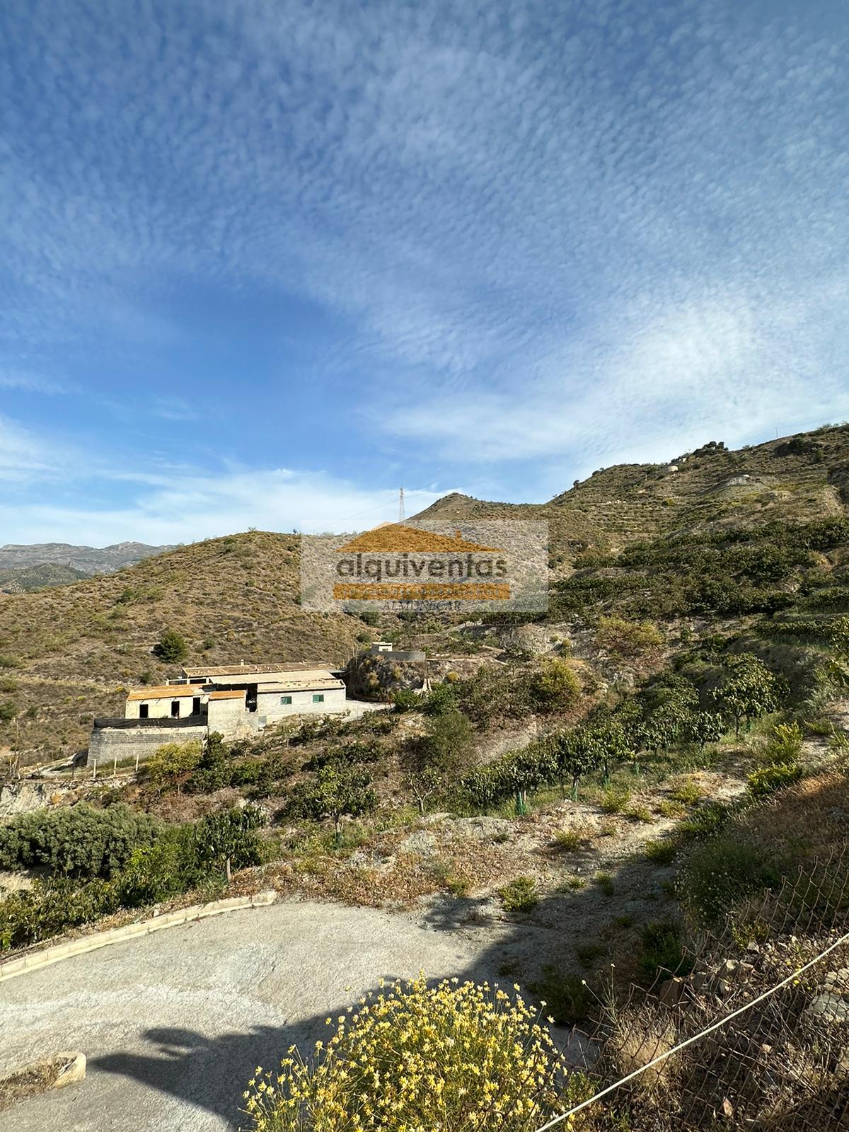 Venta de finca rústica en La Herradura