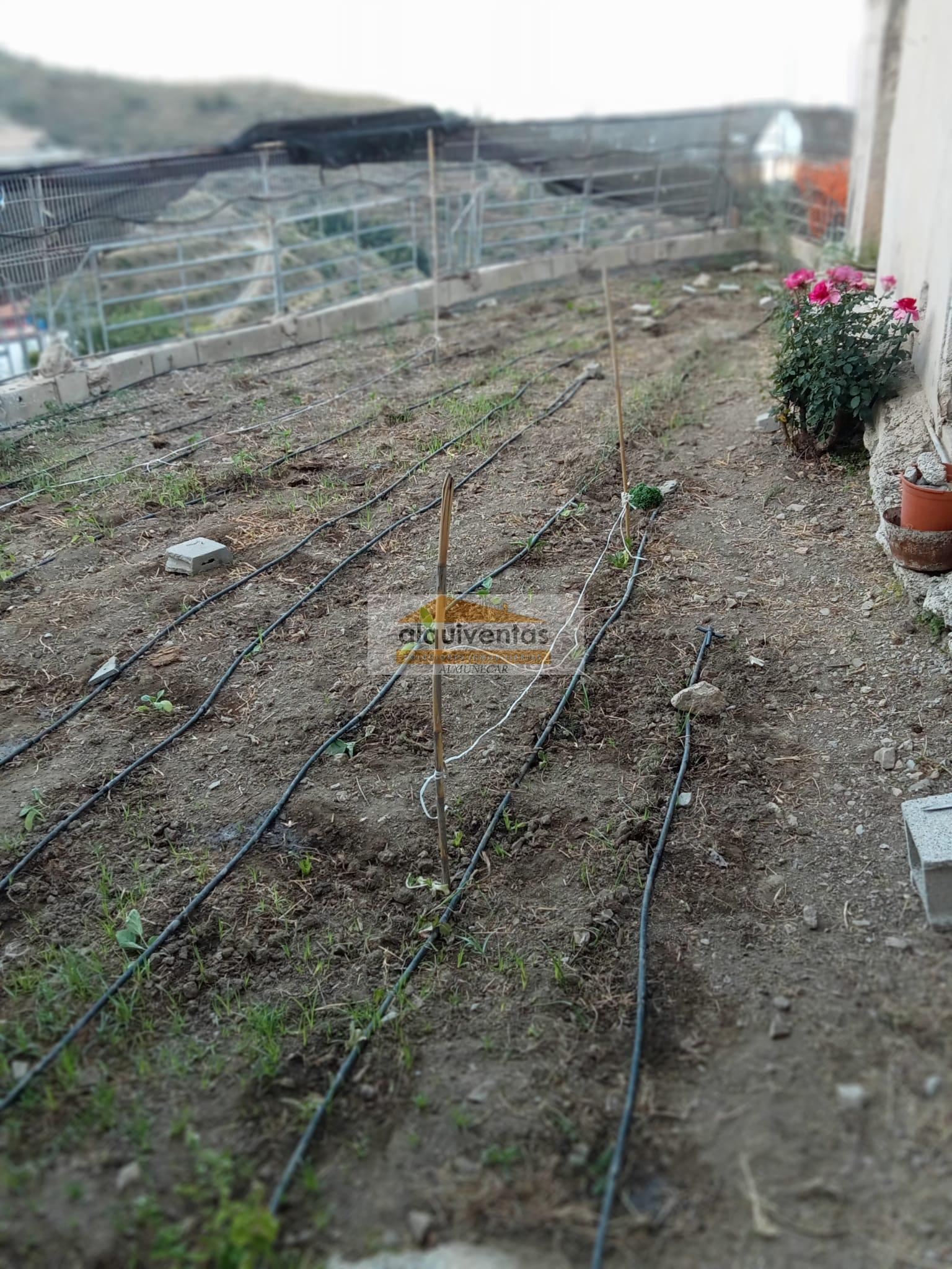 Venta de finca rústica en Almuñécar