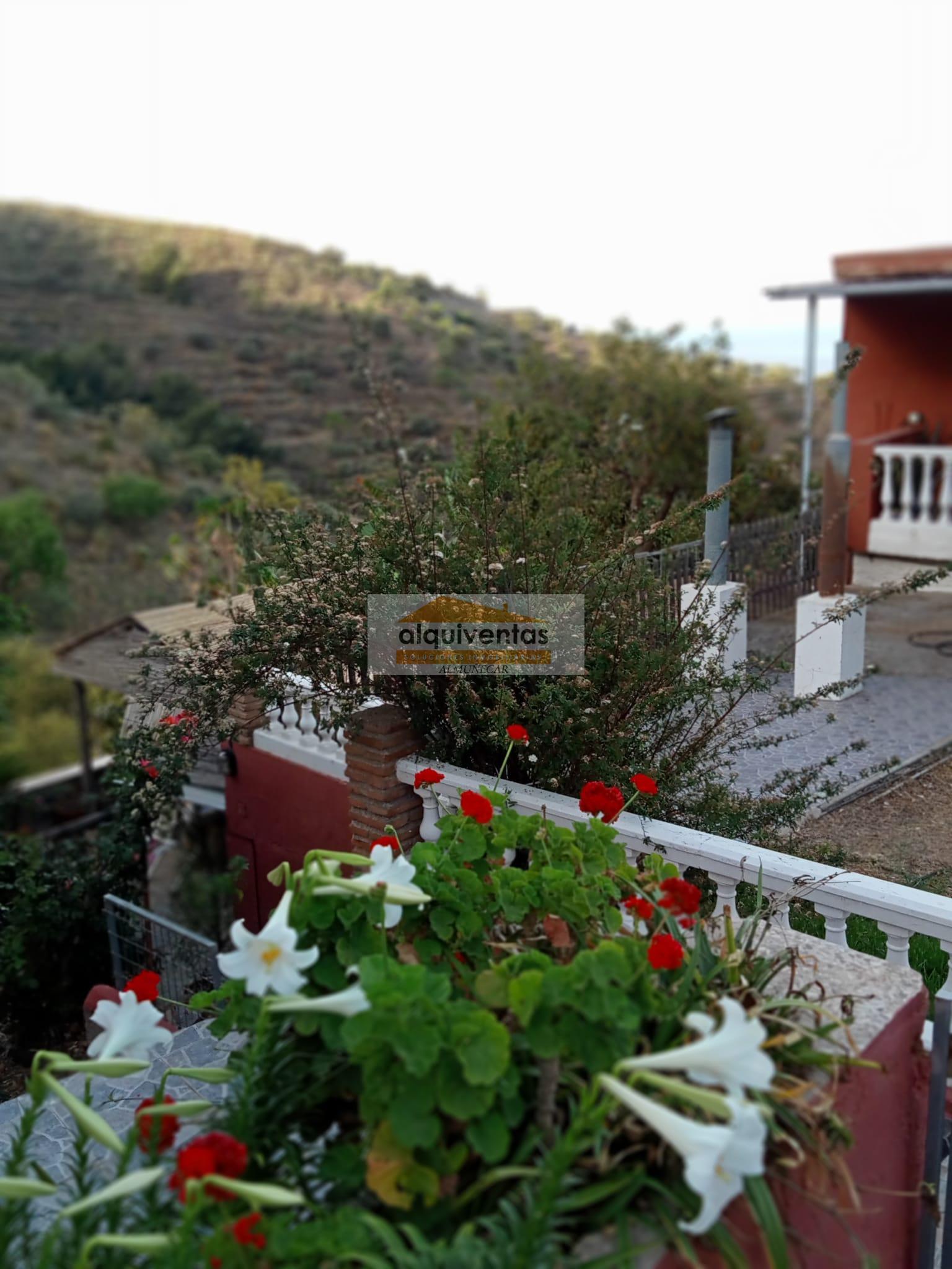 Venta de finca rústica en Almuñécar