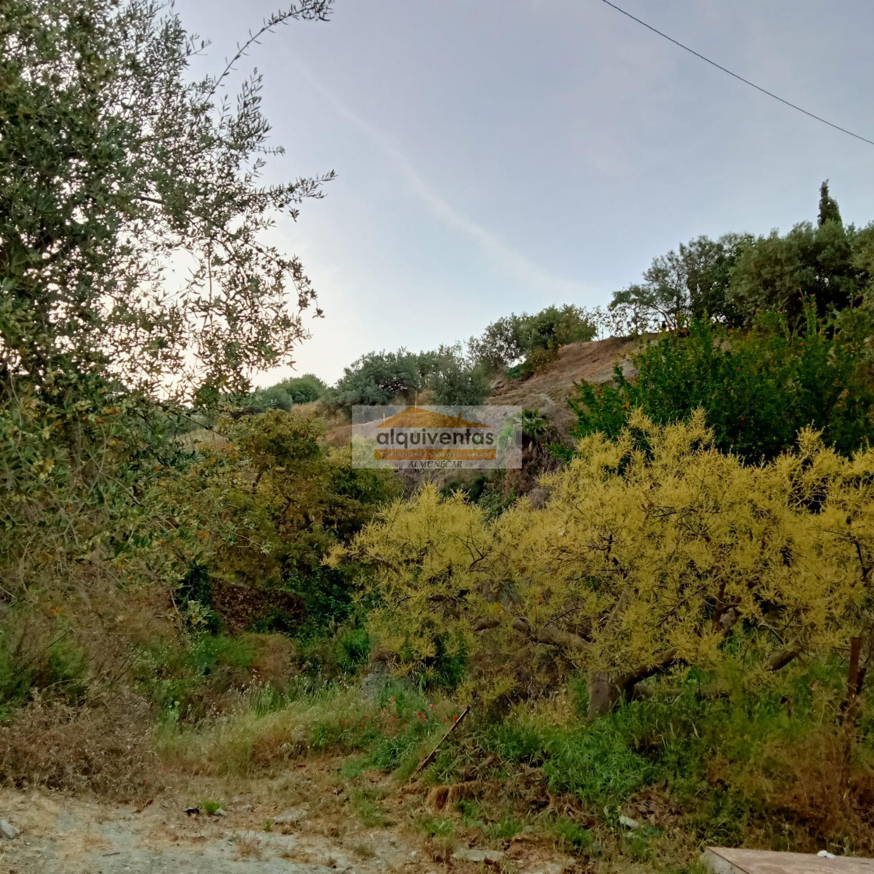 Venta de finca rústica en Almuñécar