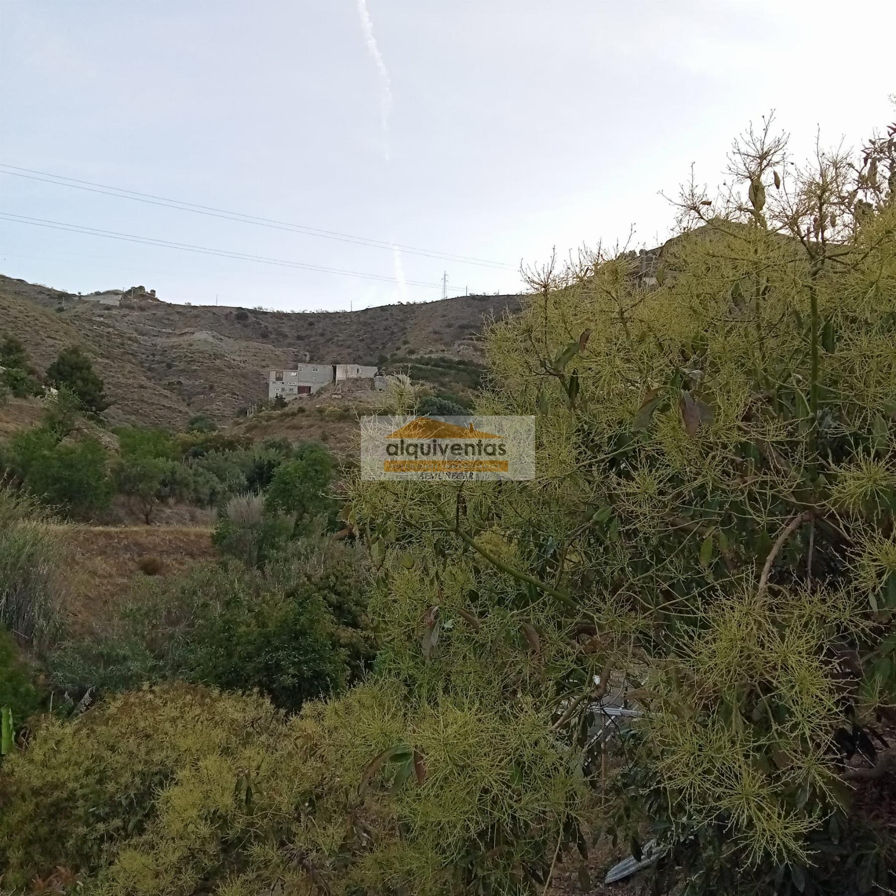 For sale of rural property in Almuñécar