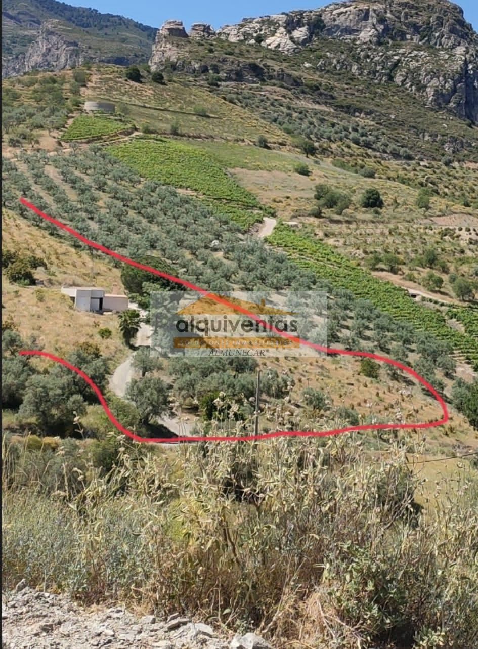 For sale of rural property in Almuñécar