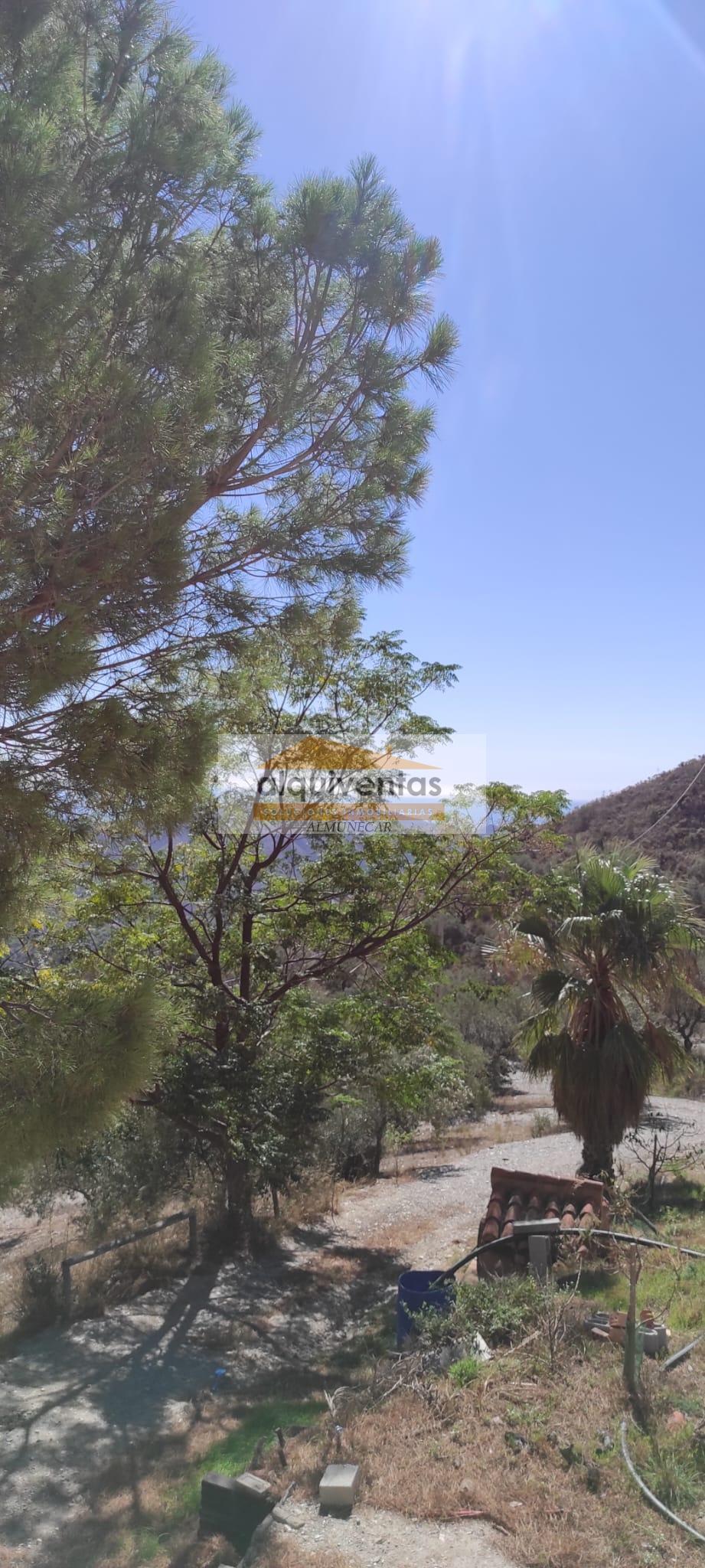 For sale of rural property in Almuñécar