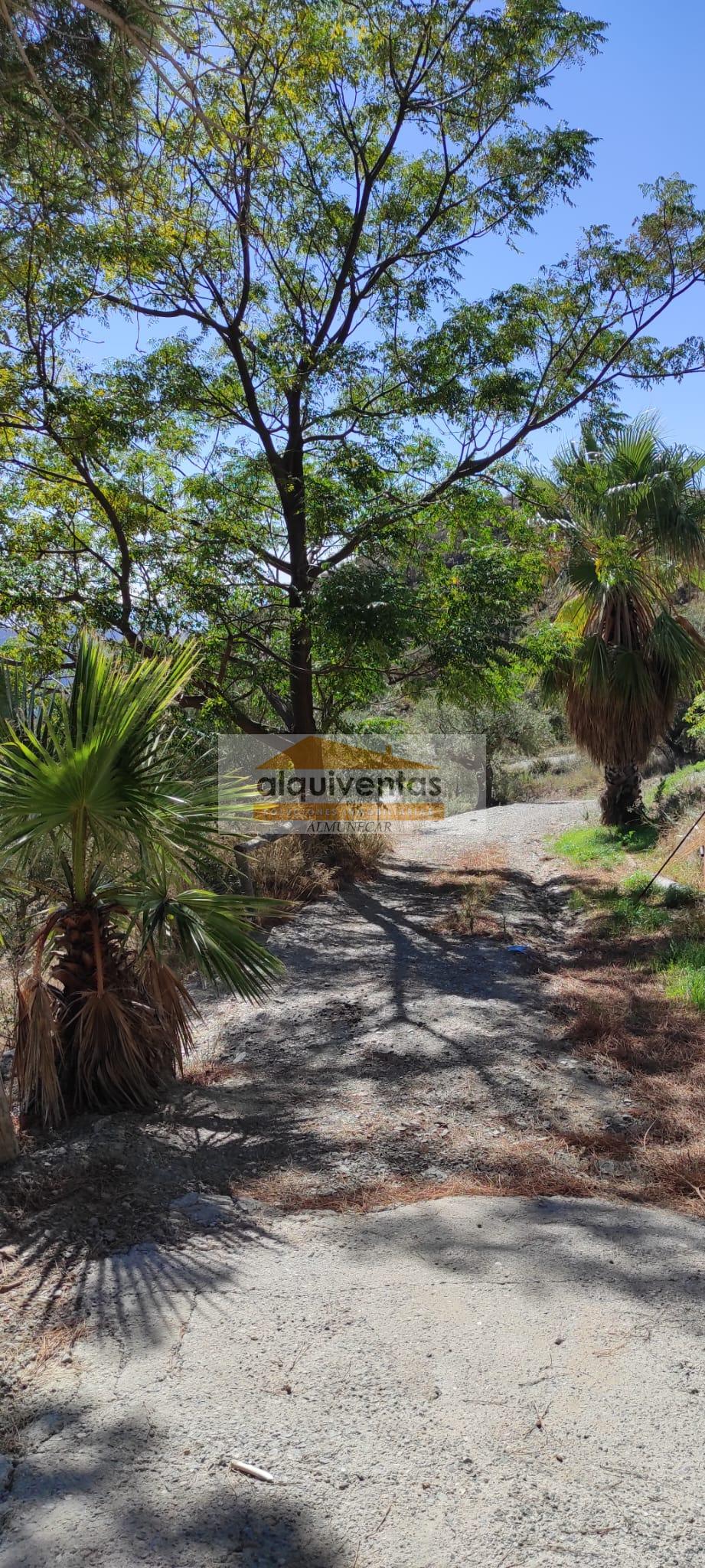 For sale of rural property in Almuñécar