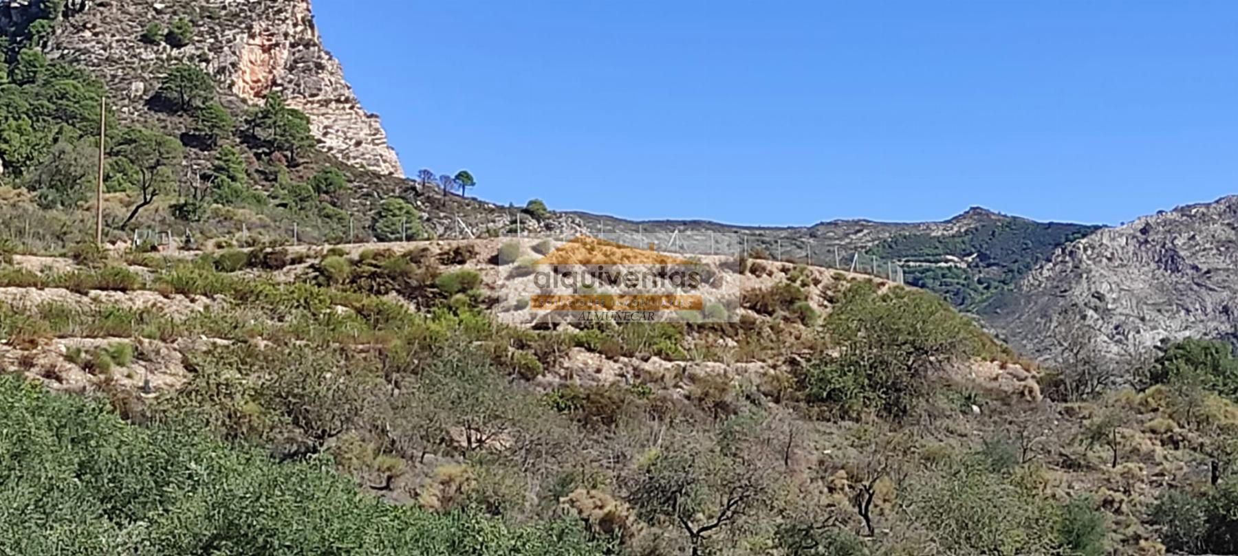 For sale of rural property in Almuñécar
