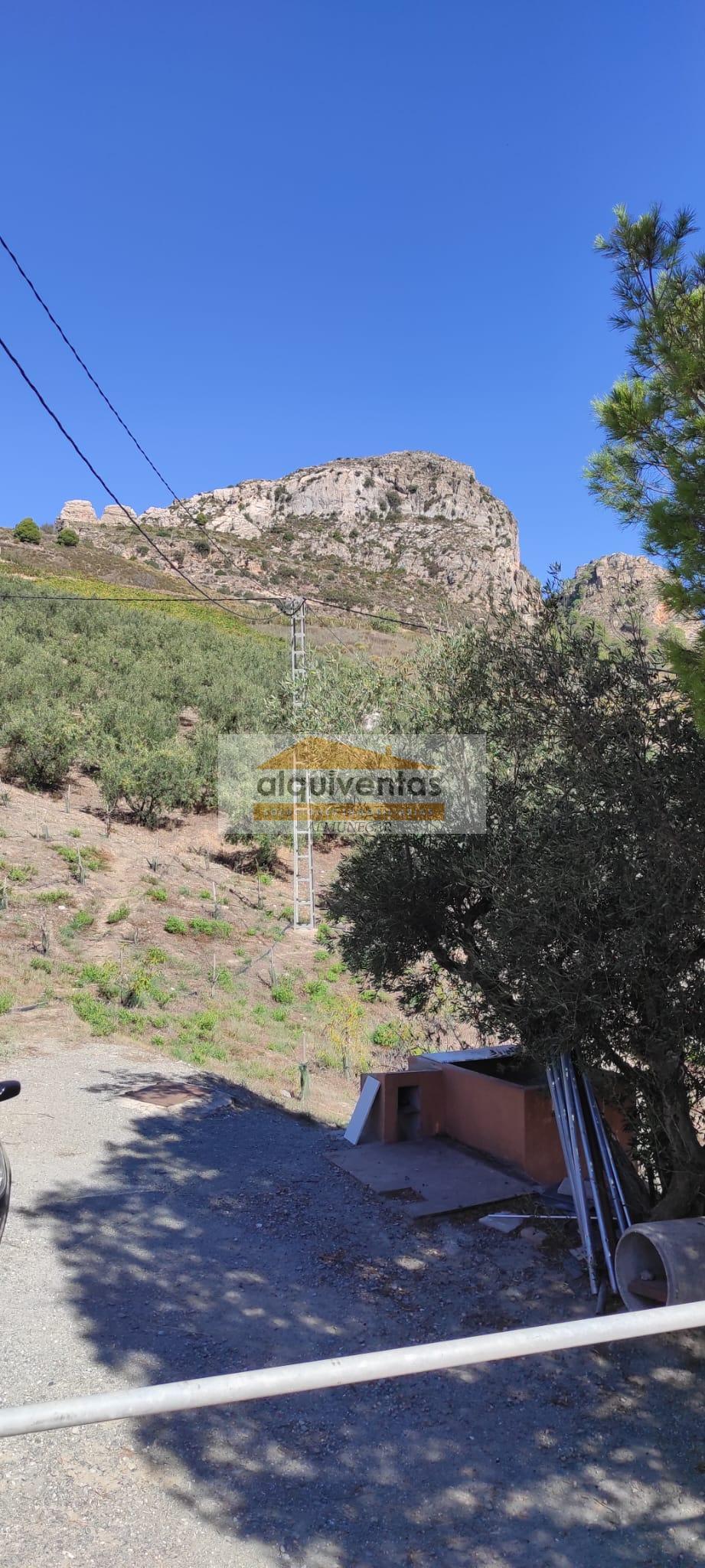 For sale of rural property in Almuñécar