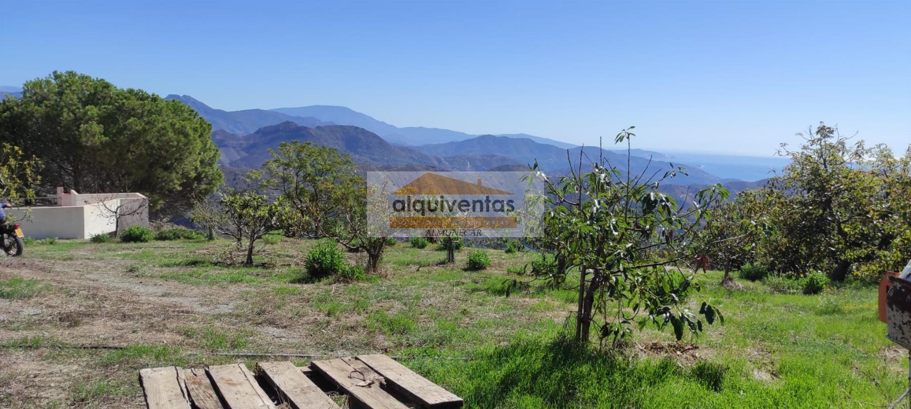 For sale of rural property in Almuñécar