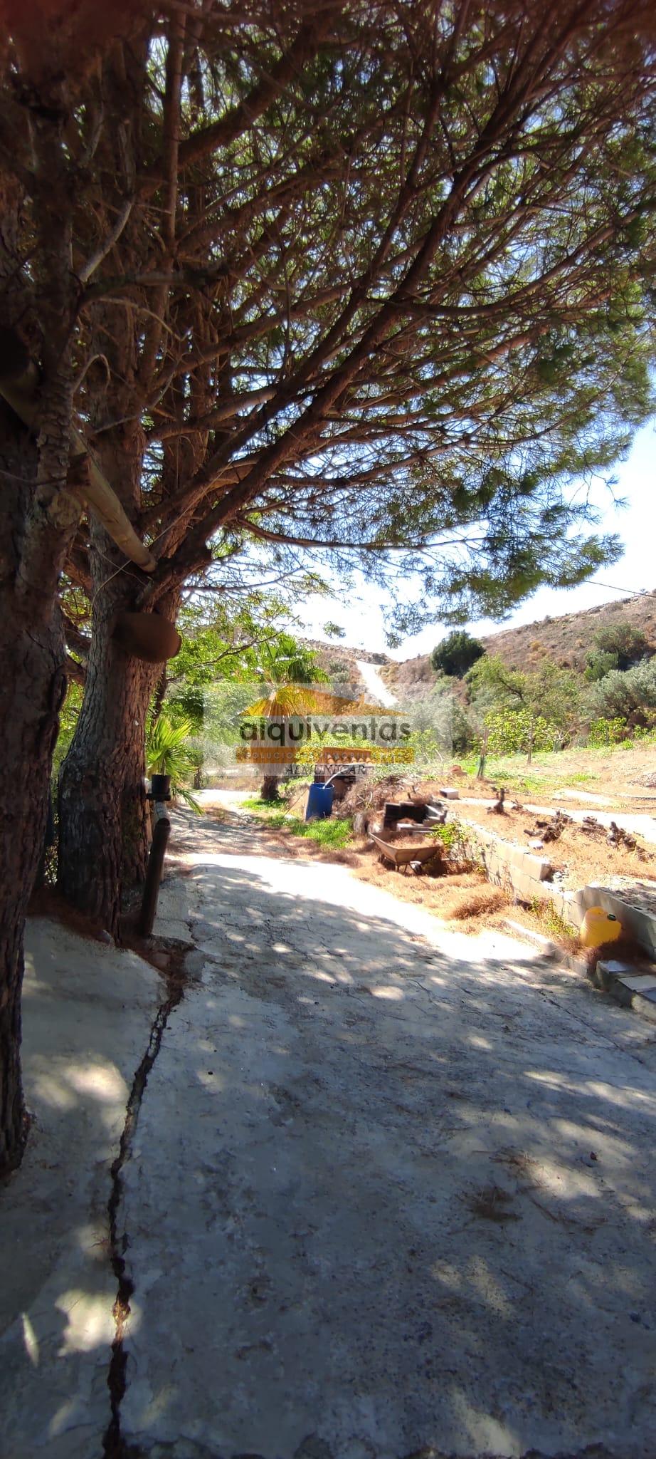 For sale of rural property in Almuñécar
