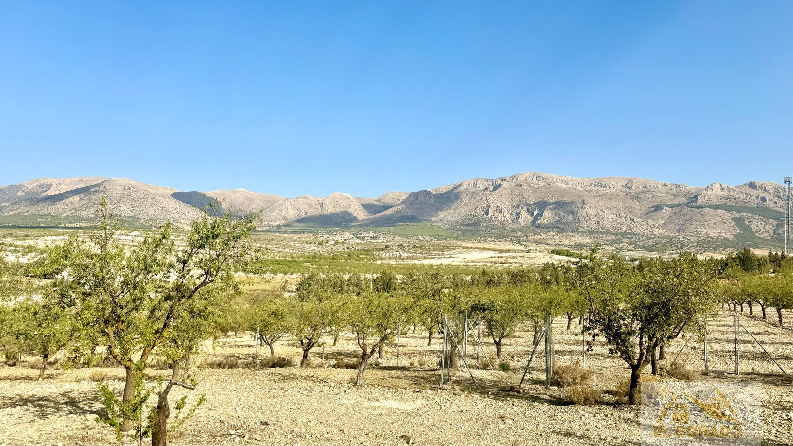 La terre