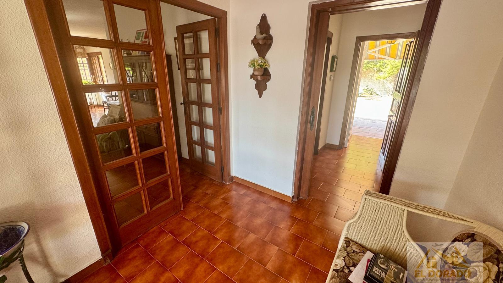 Entrada/Salida Entrada/Salida