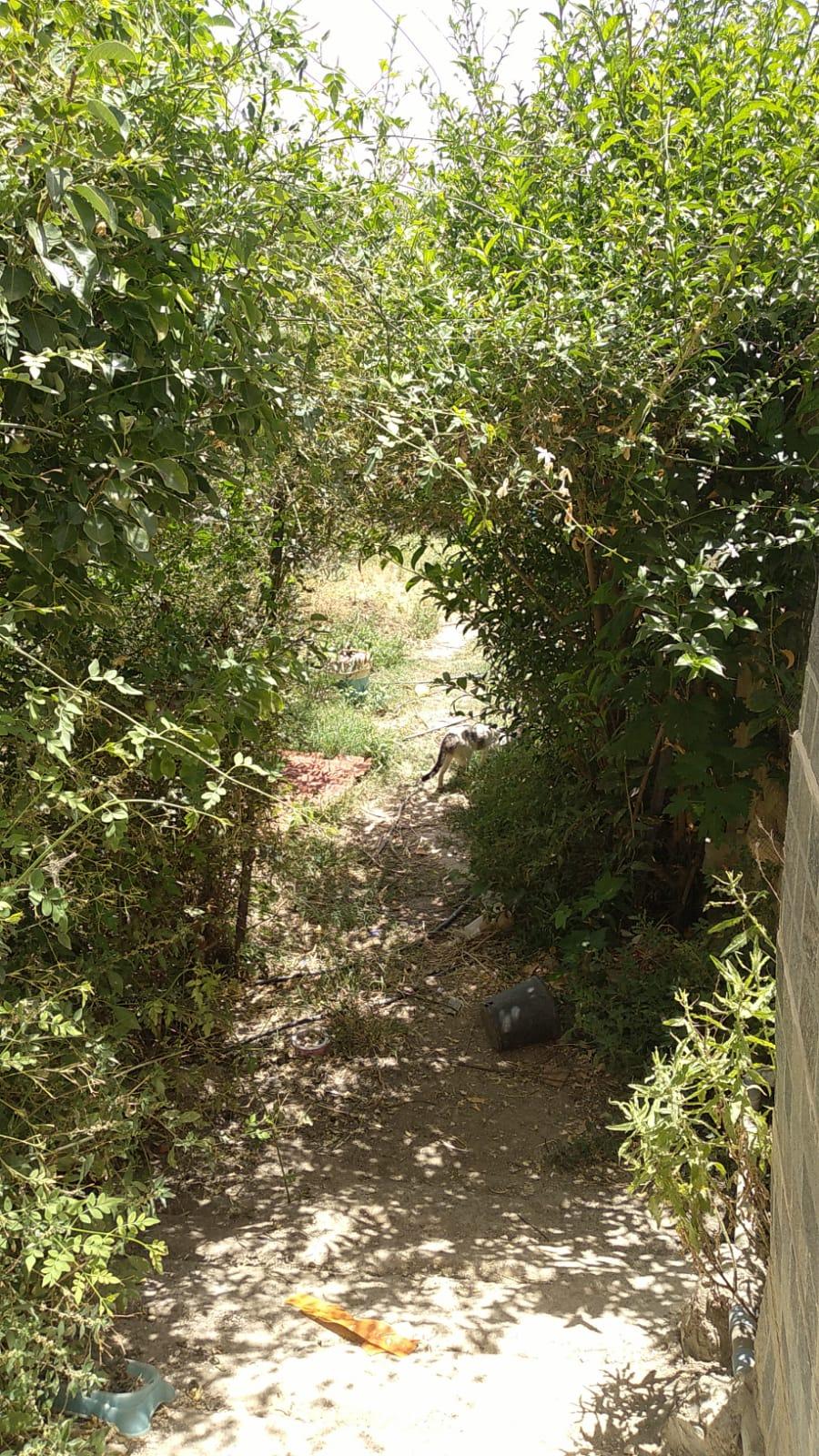 Surroundings