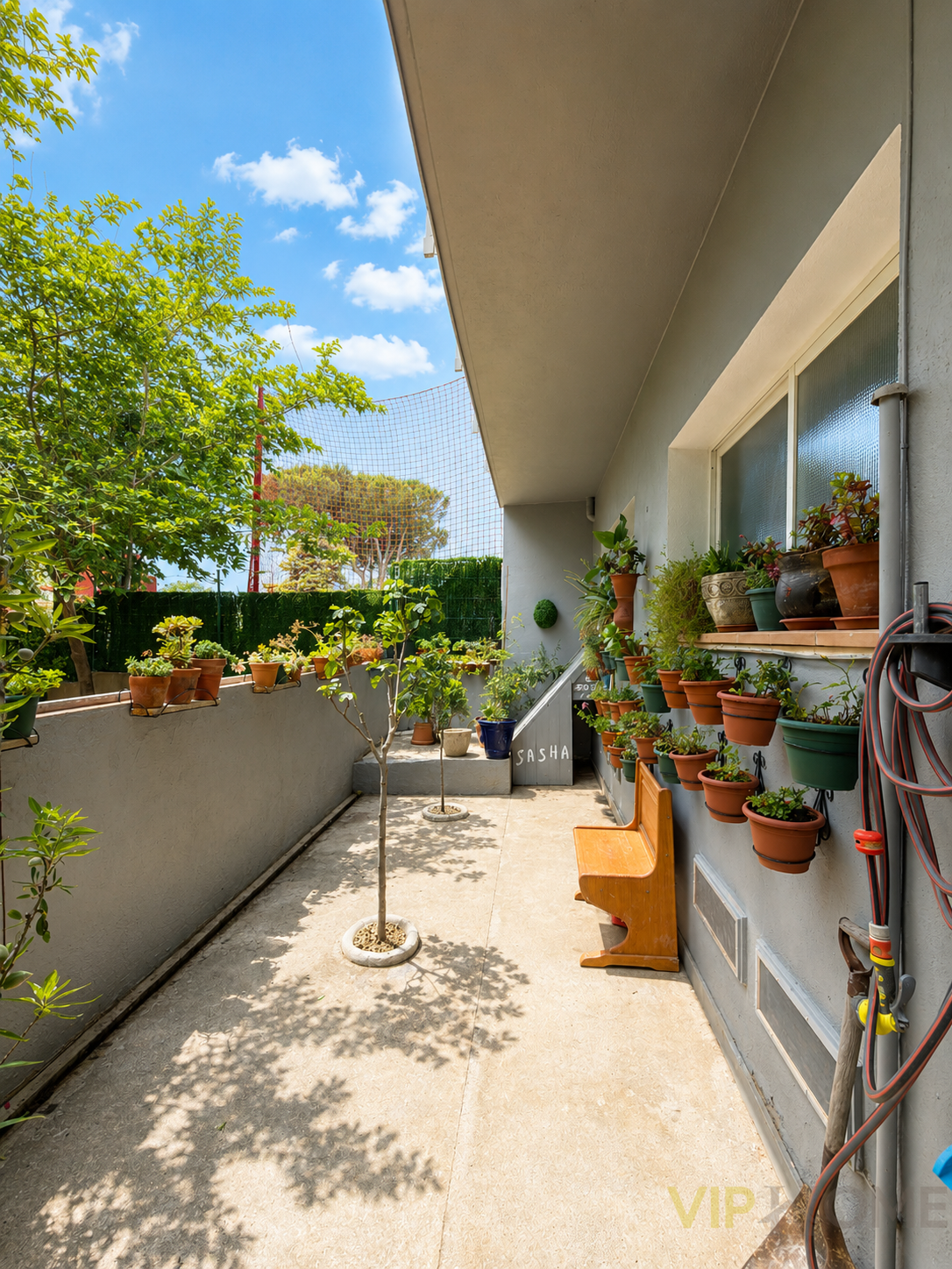 Terraza