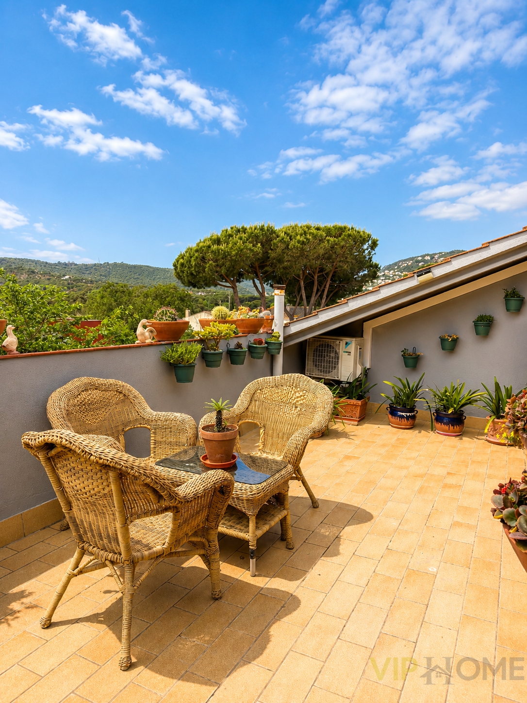Terraza