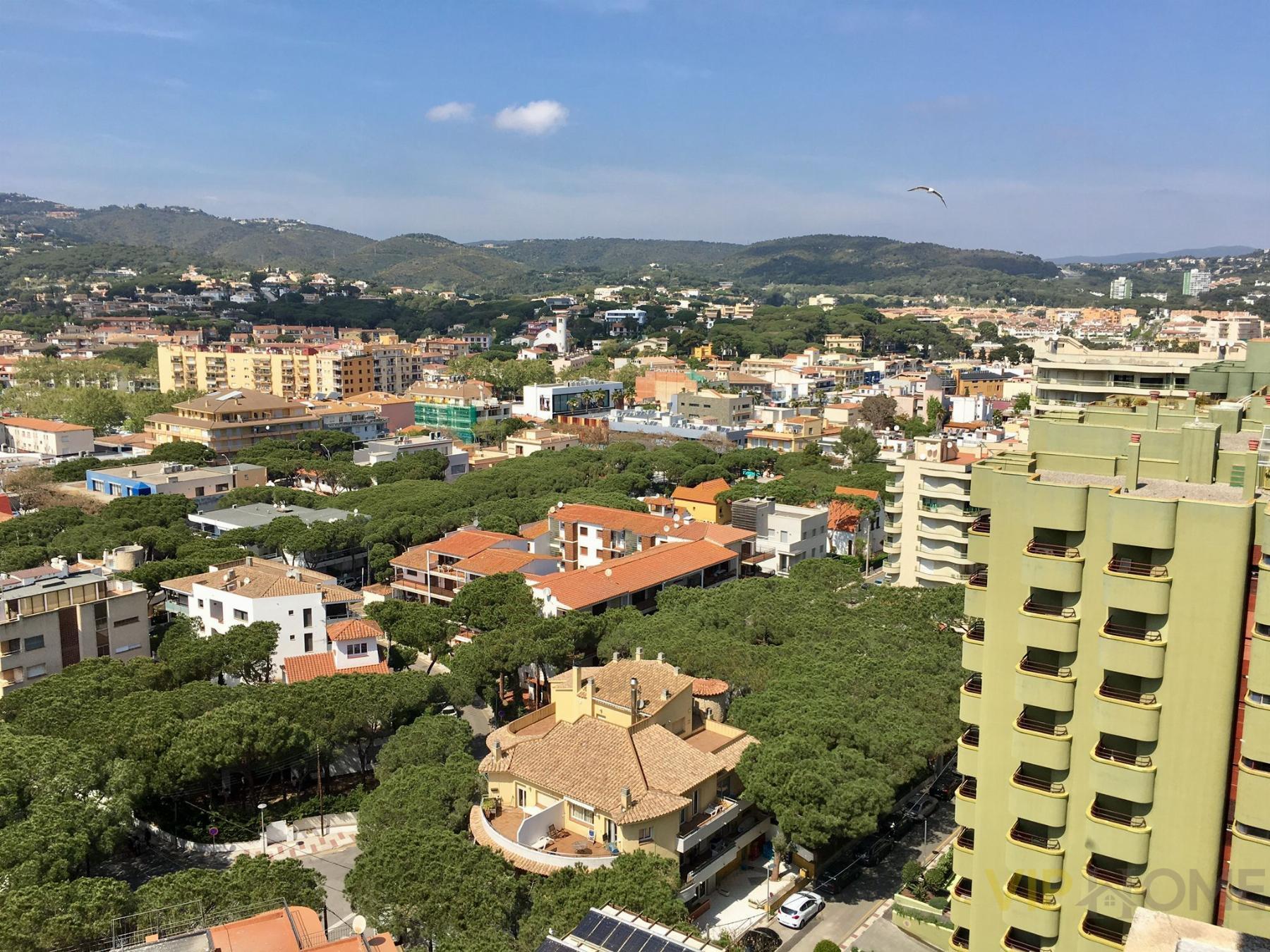 Vistas