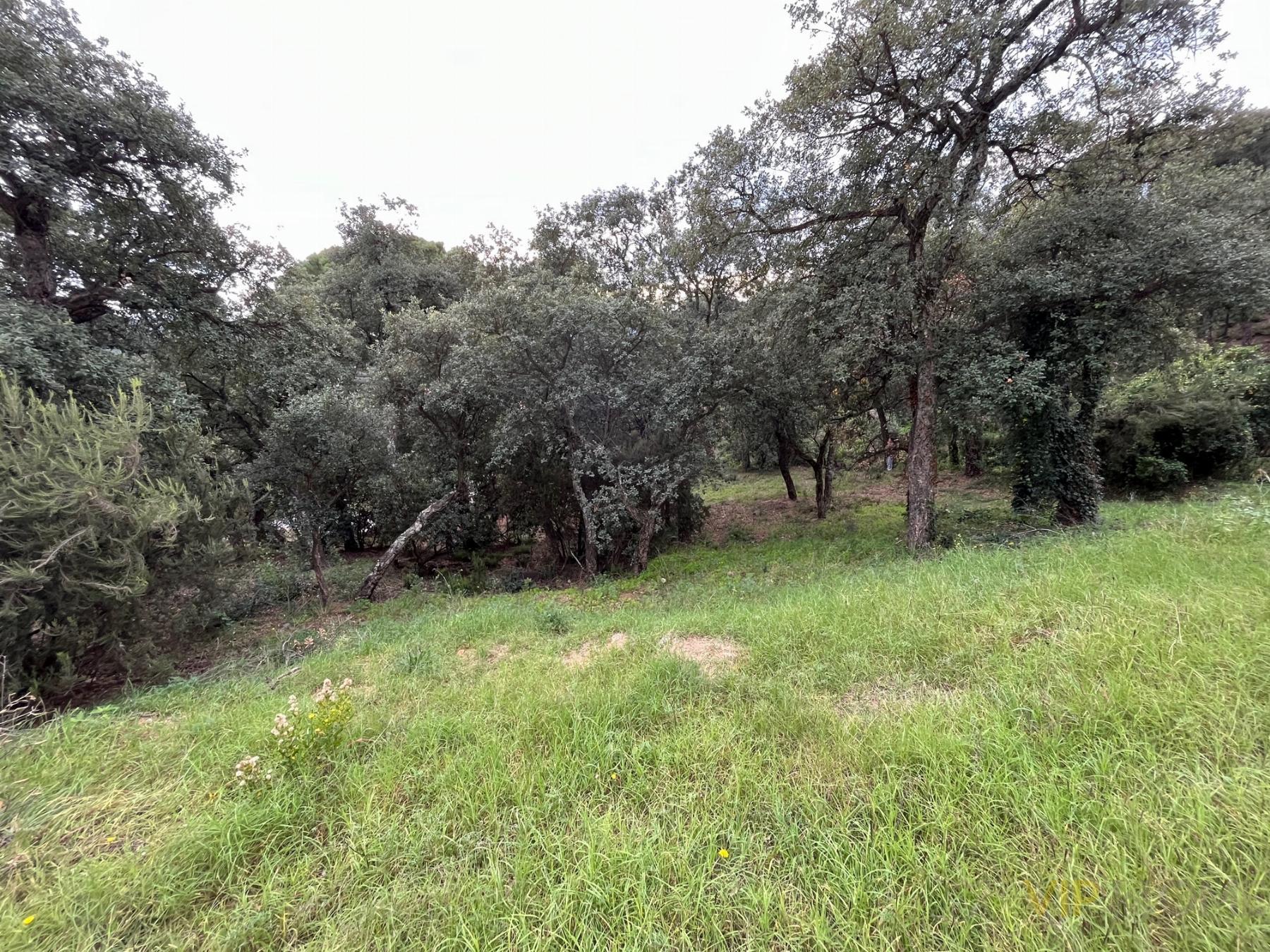 For sale of land in Santa Cristina D´aro