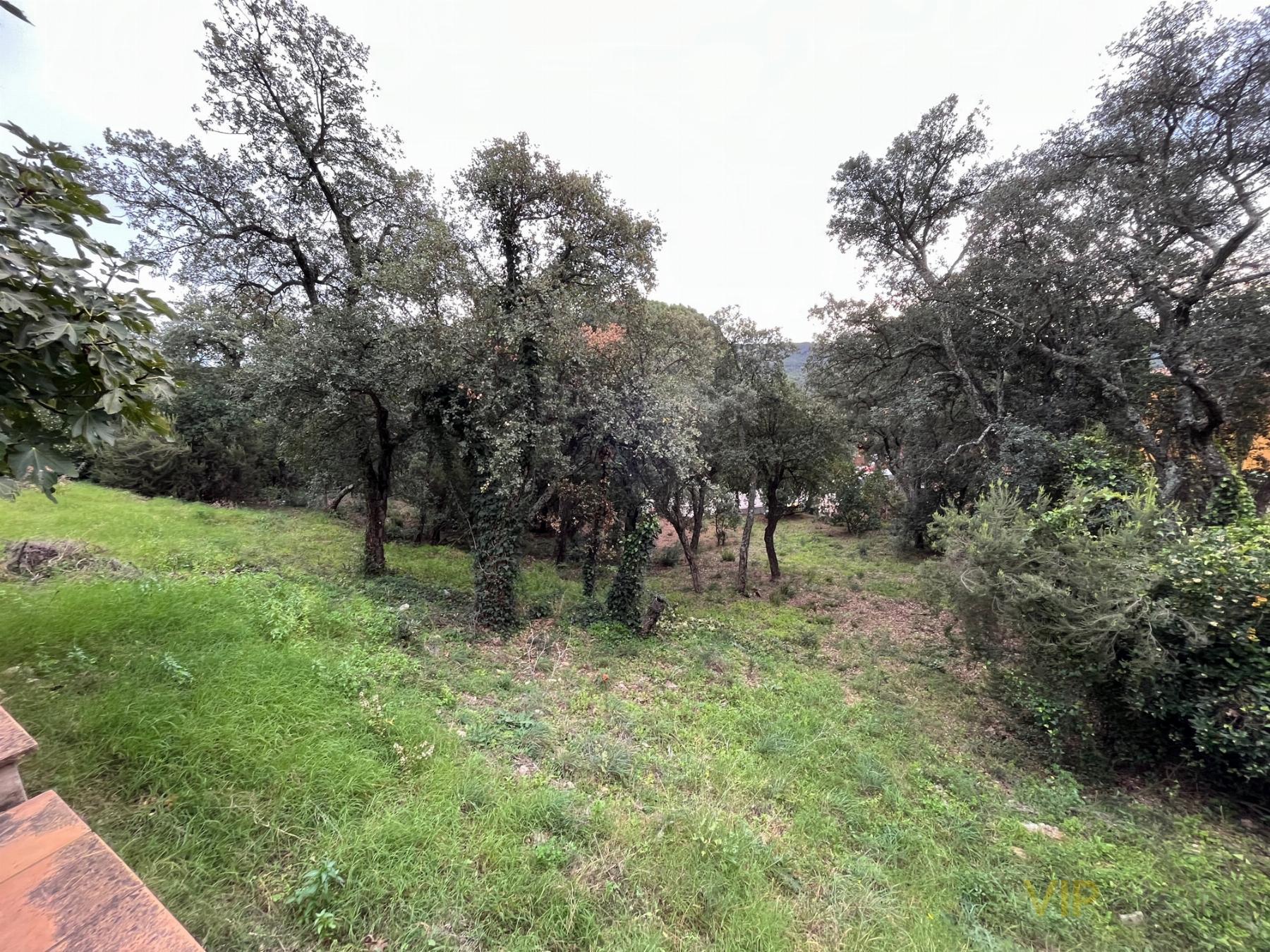 For sale of land in Santa Cristina D´aro