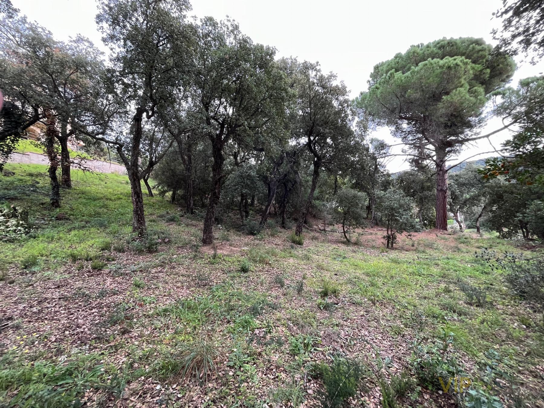 For sale of land in Santa Cristina D´aro