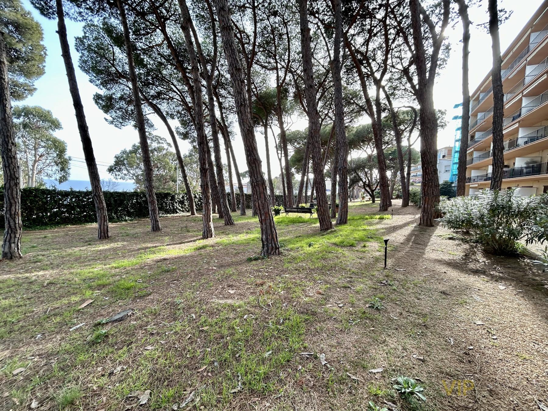 For sale of apartment in Castell-Platja d´Aro