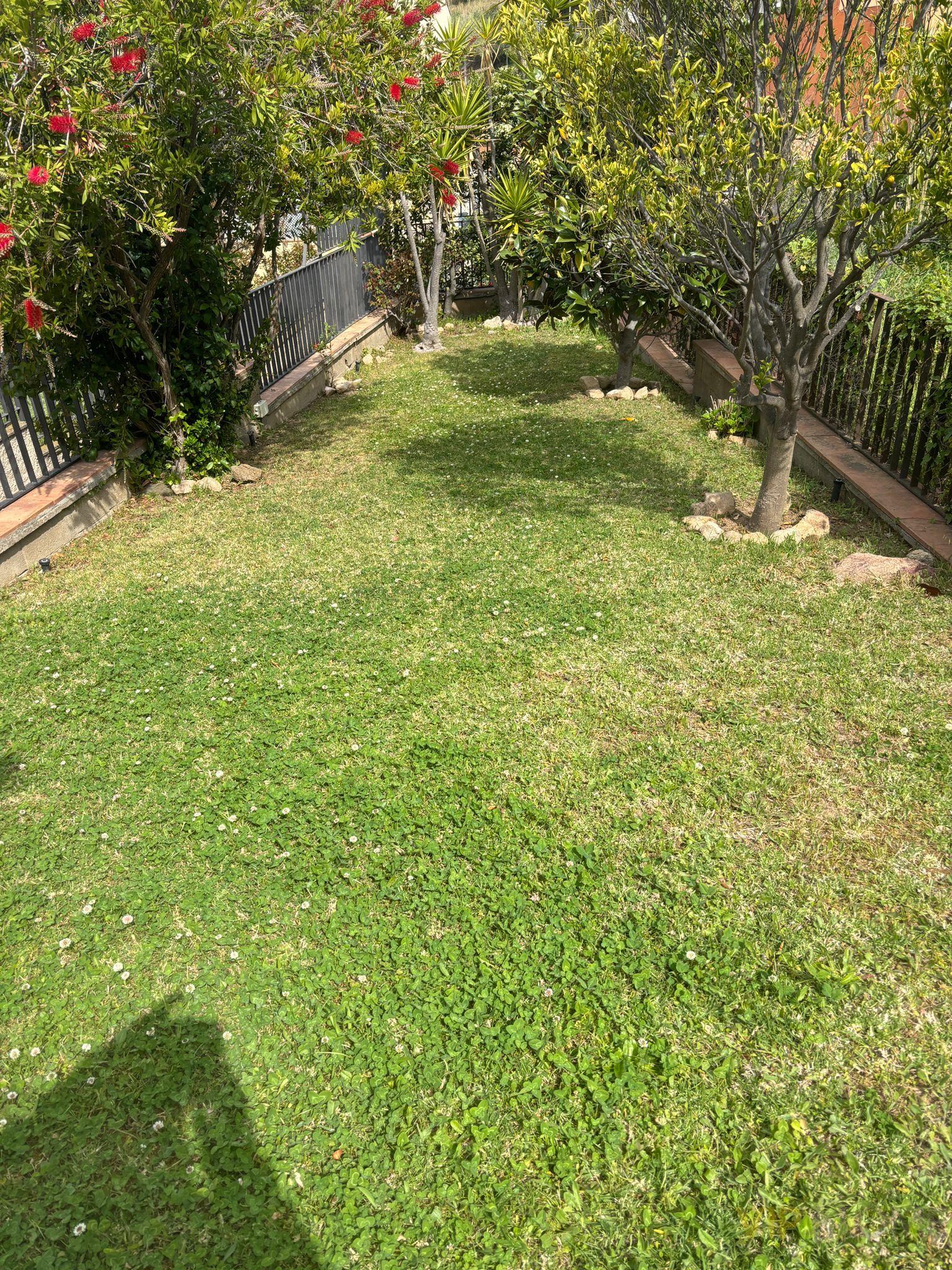 Jardí