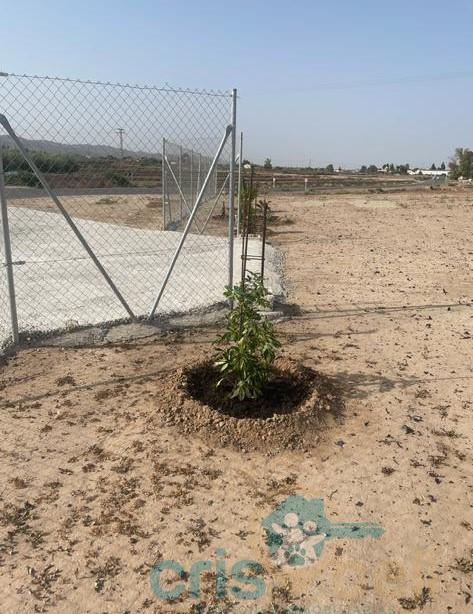 Venta de casa en Lorca