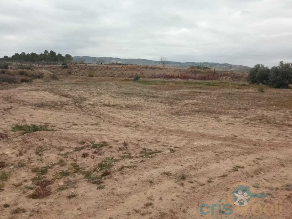 For sale of house in Lorca