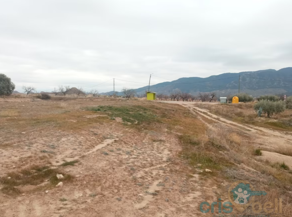 For sale of house in Lorca