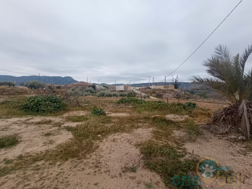 For sale of house in Lorca