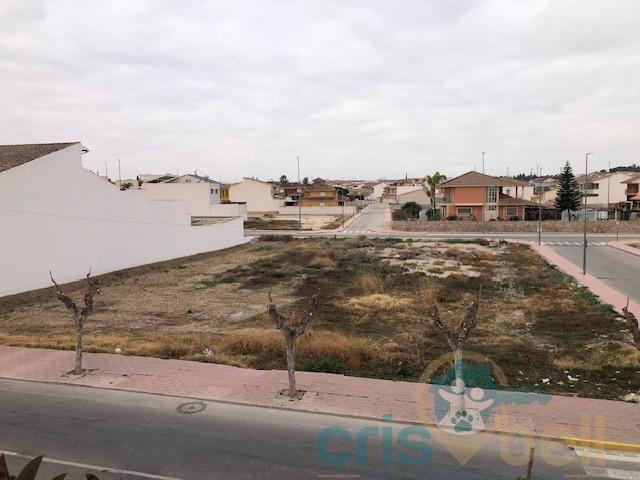 For sale of house in Ceutí
