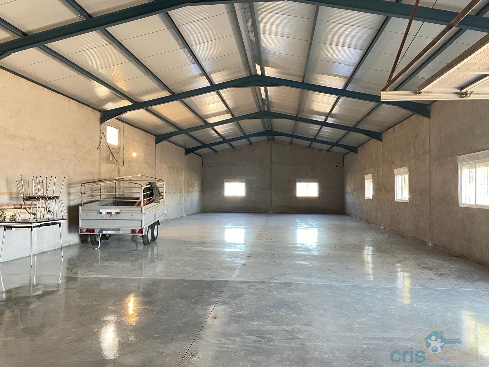 For rent of industrial plant/warehouse in Lorca