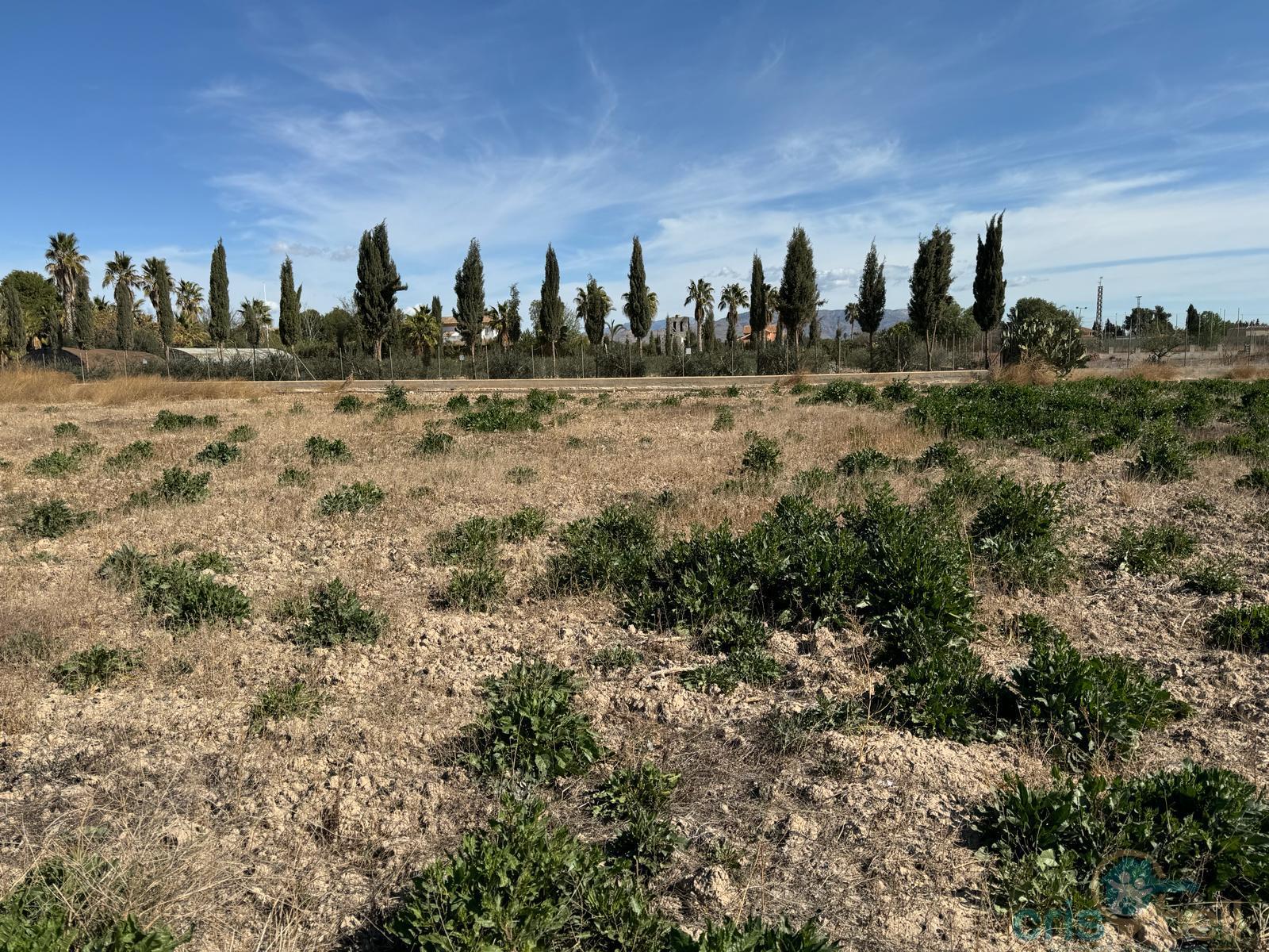 For sale of land in Lorca