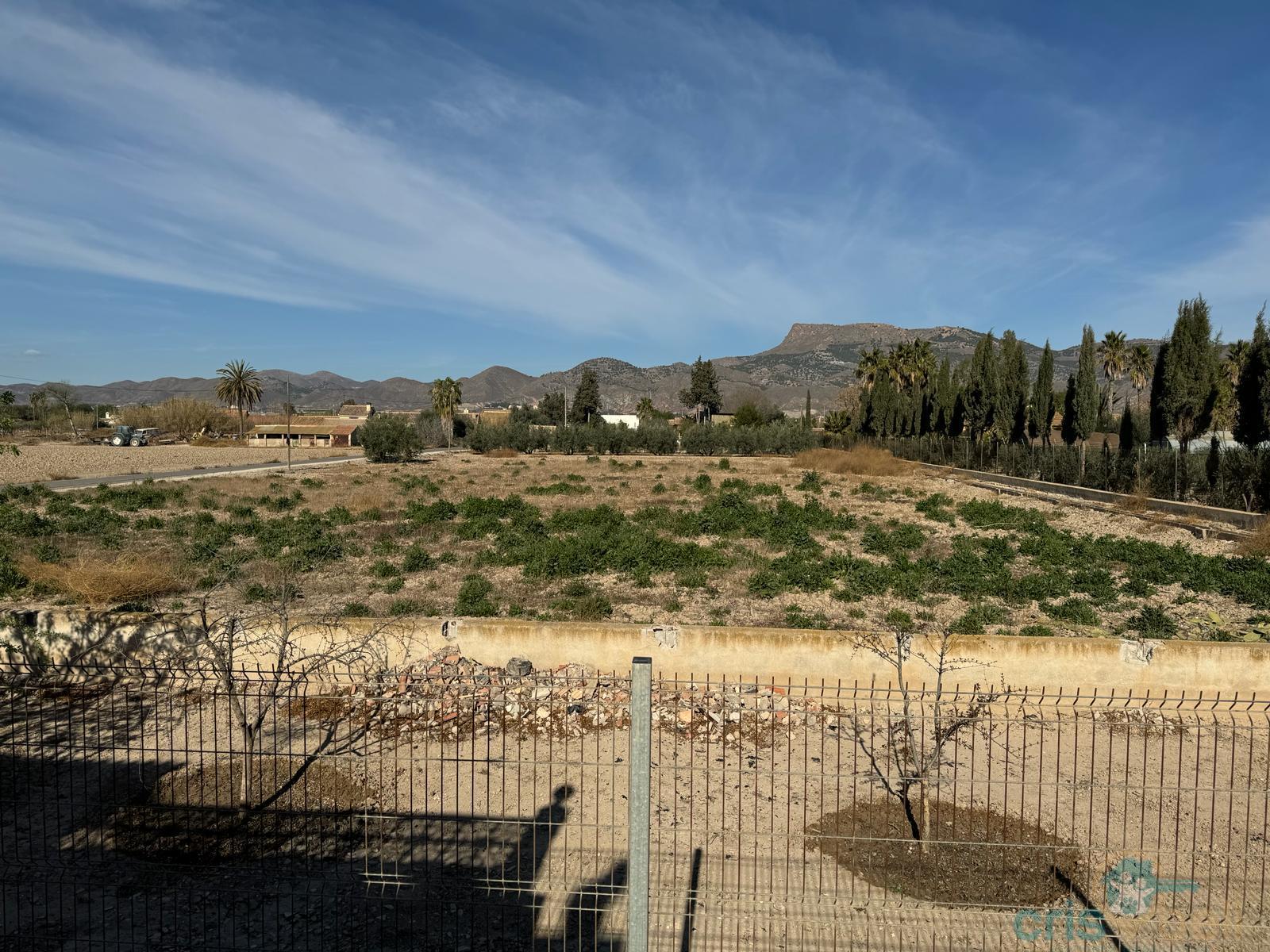 For sale of land in Lorca