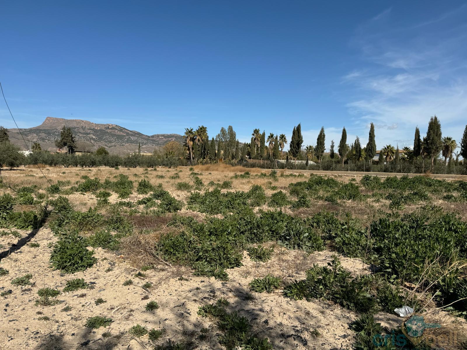 For sale of land in Lorca