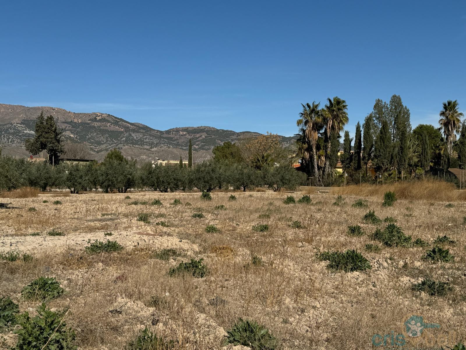 For sale of land in Lorca