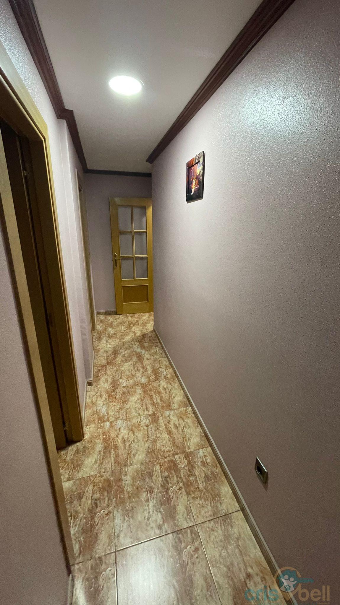 For sale of flat in Lorca