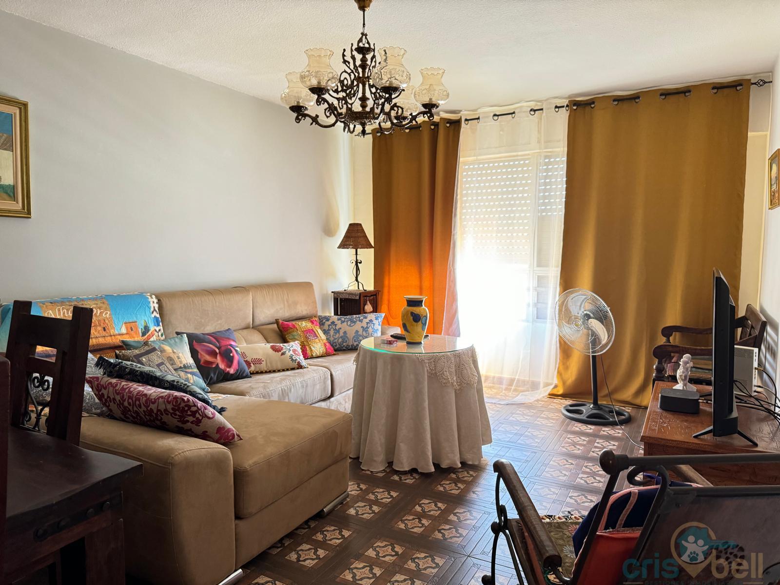 For sale of flat in Lorca