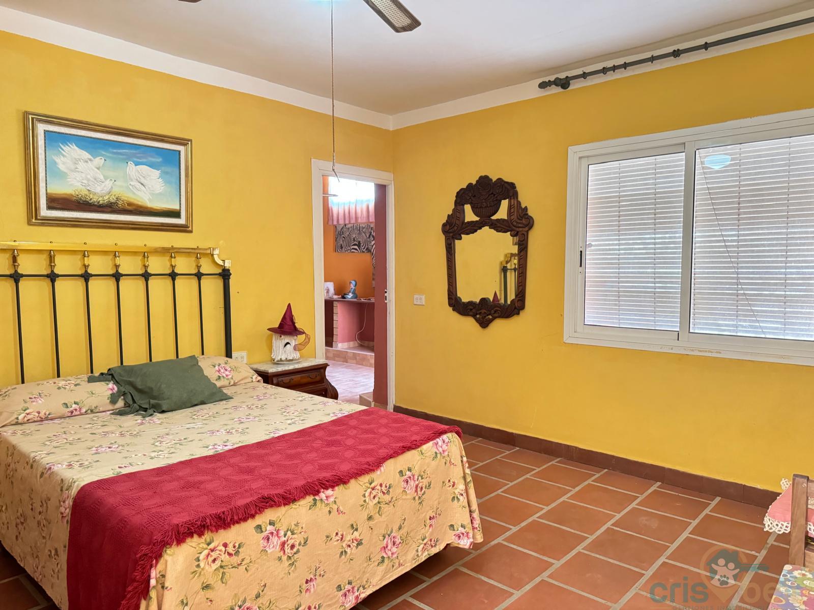 For sale of house in Lorca