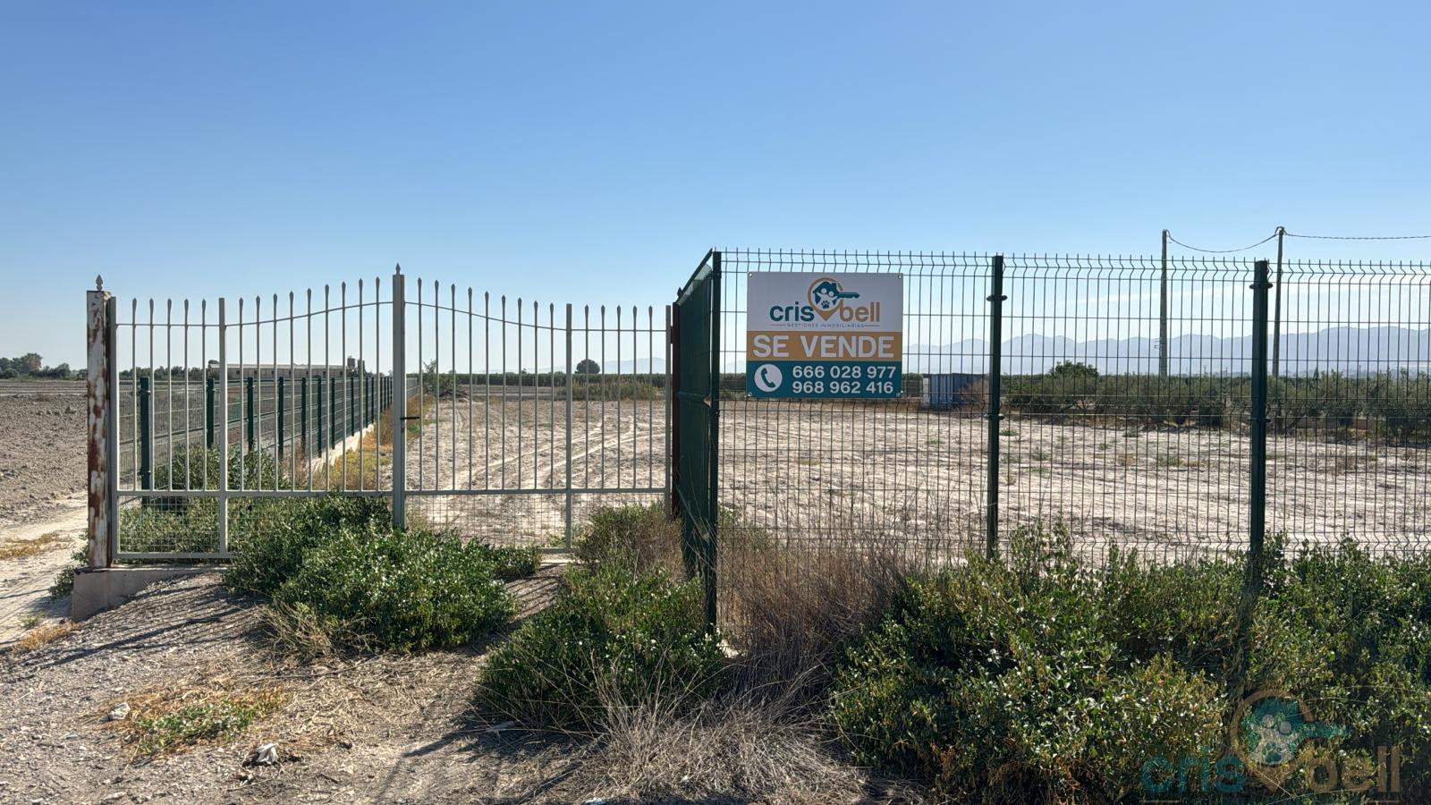 For sale of land in Lorca