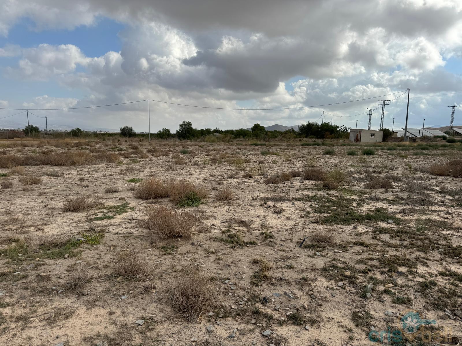 For sale of land in Lorca