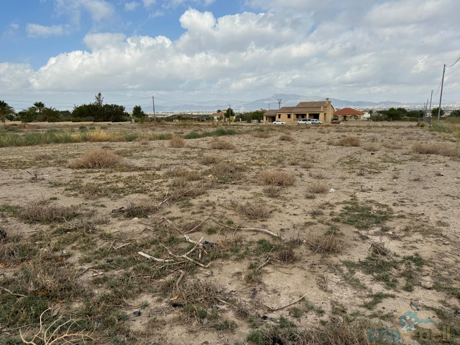For sale of land in Lorca