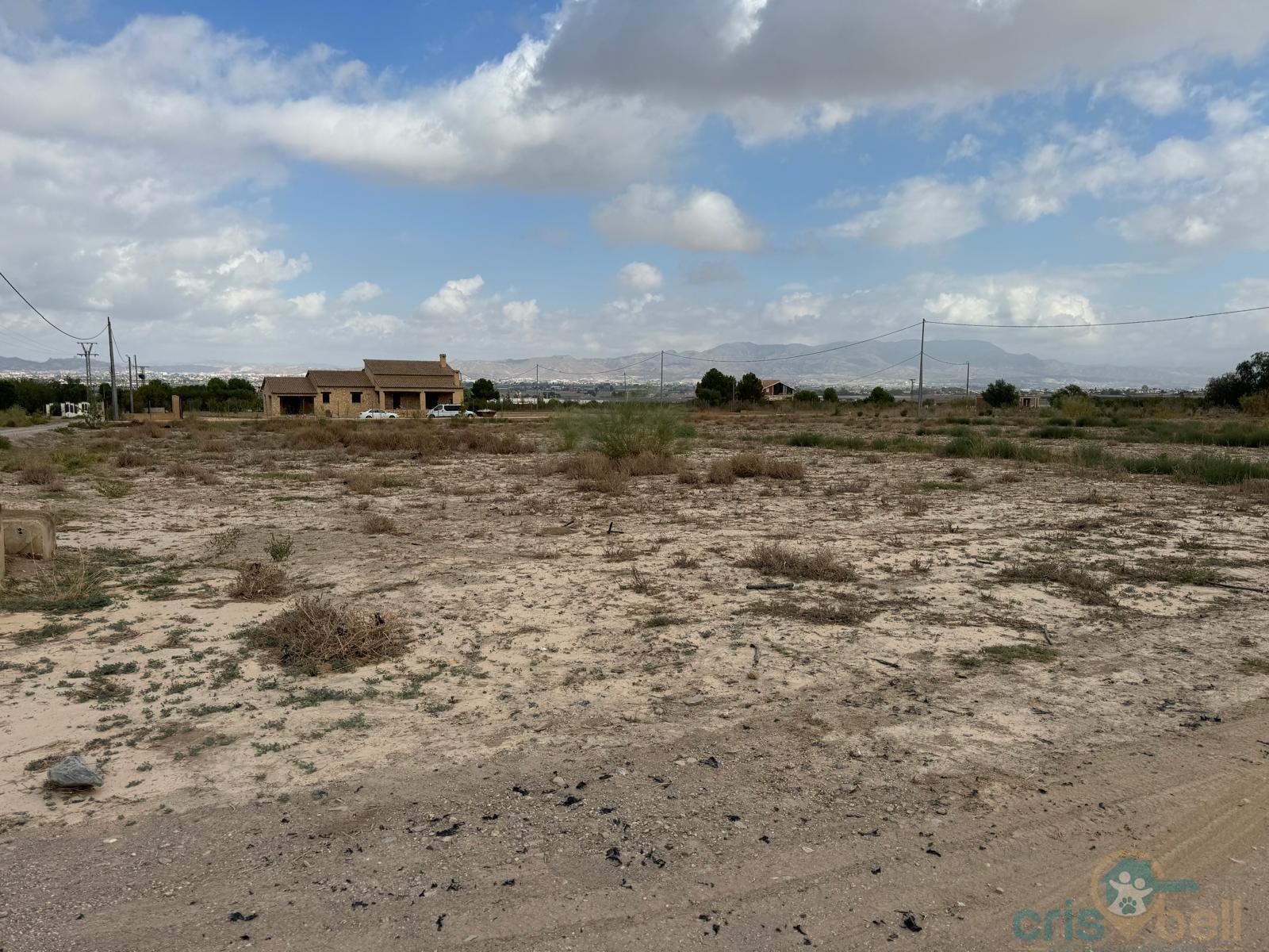 For sale of land in Lorca