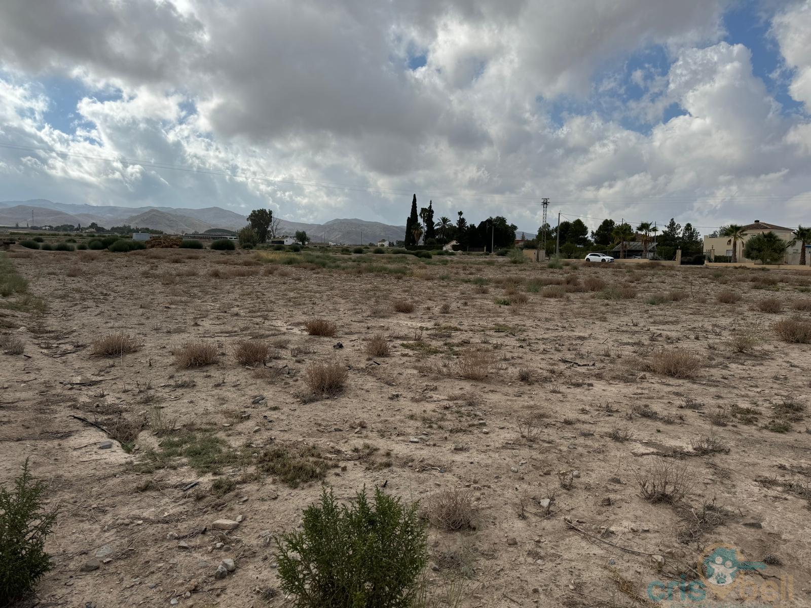 For sale of land in Lorca