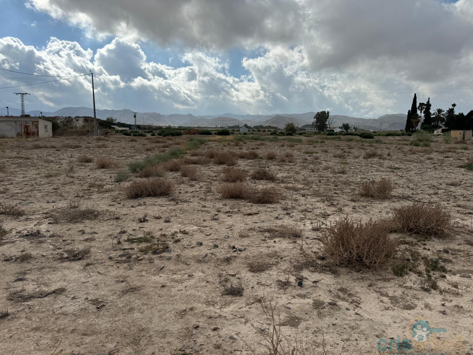 For sale of land in Lorca