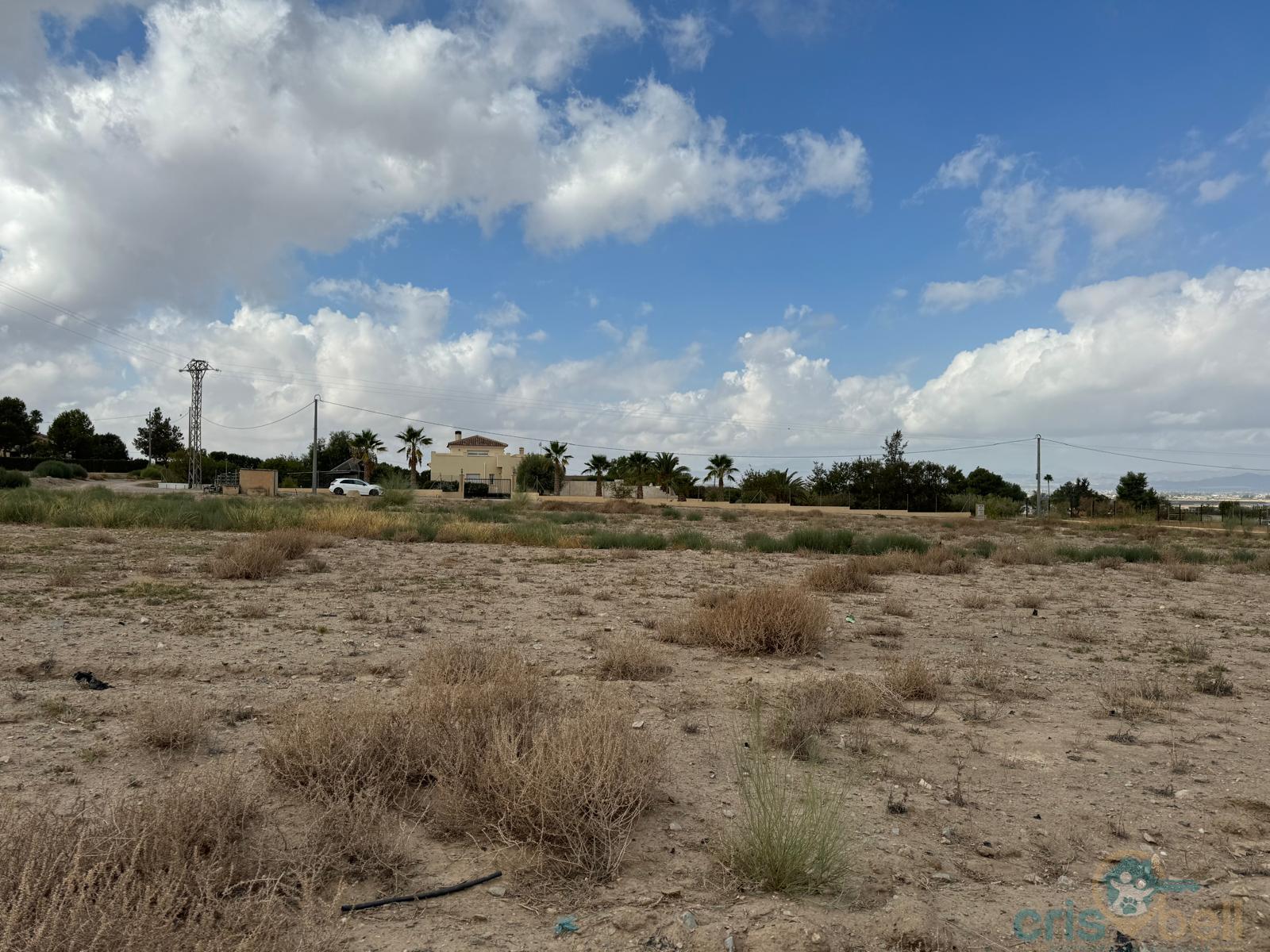 For sale of land in Lorca