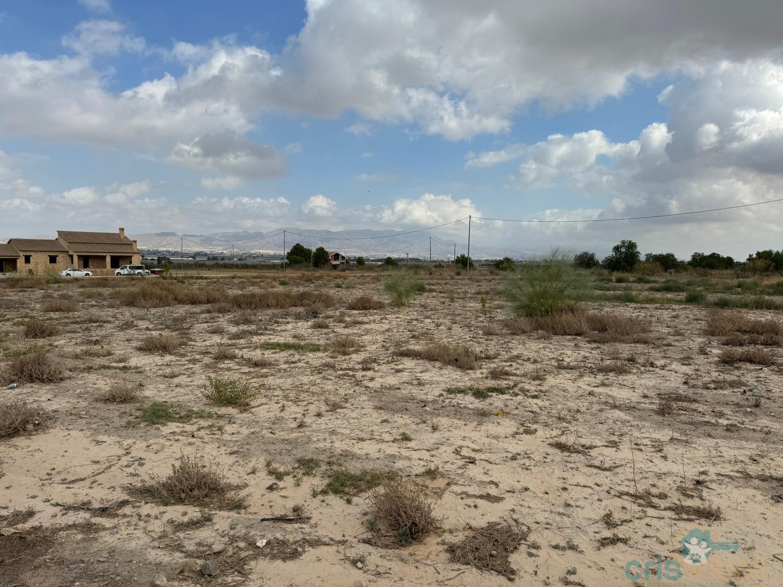 For sale of land in Lorca