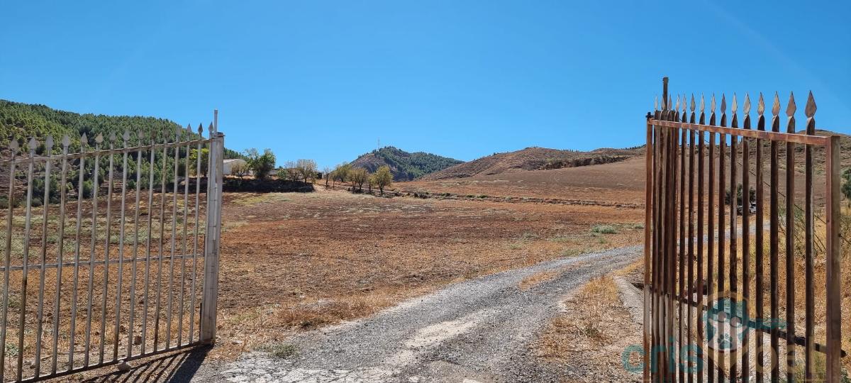 For sale of land in Antequera