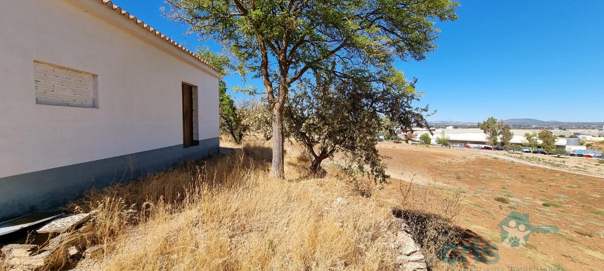 Venta de terreno en Antequera