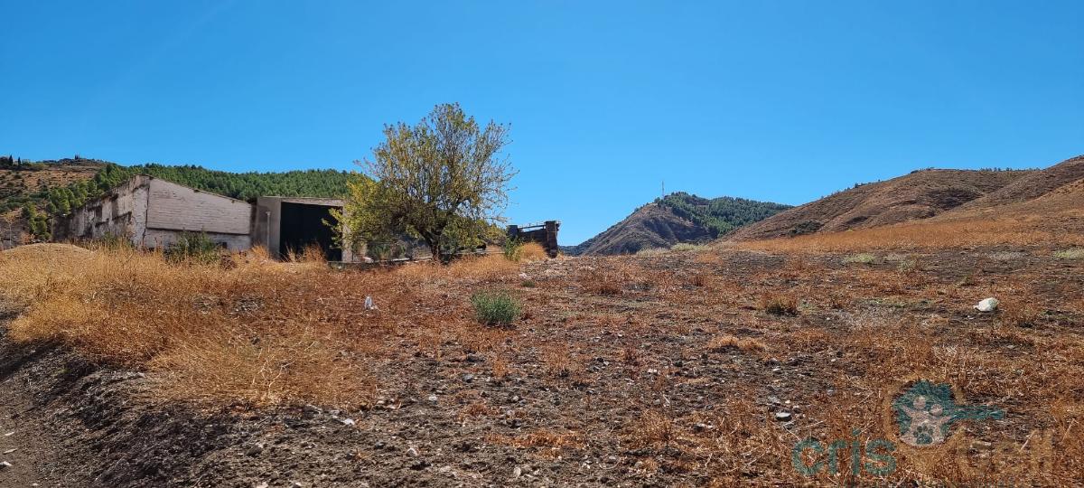 For sale of land in Antequera