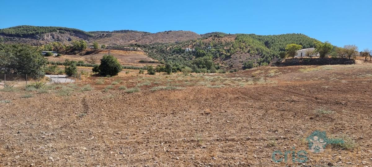 For sale of land in Antequera