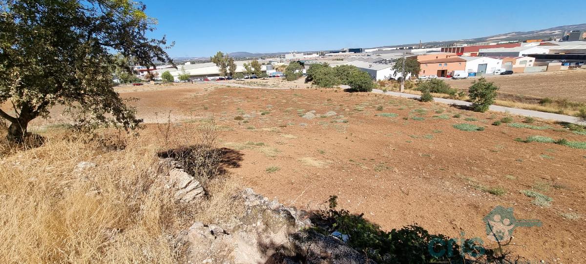 For sale of land in Antequera